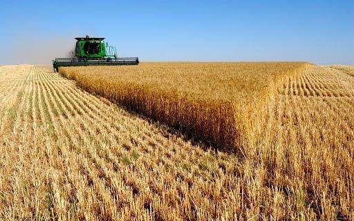В Україні зібрали вже рекордні 46 мільйонів тонн зерна