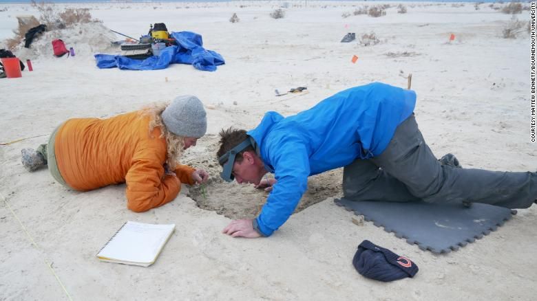 Науковці США знайшли людські сліди, яким понад 20 тисяч років (ФОТО)