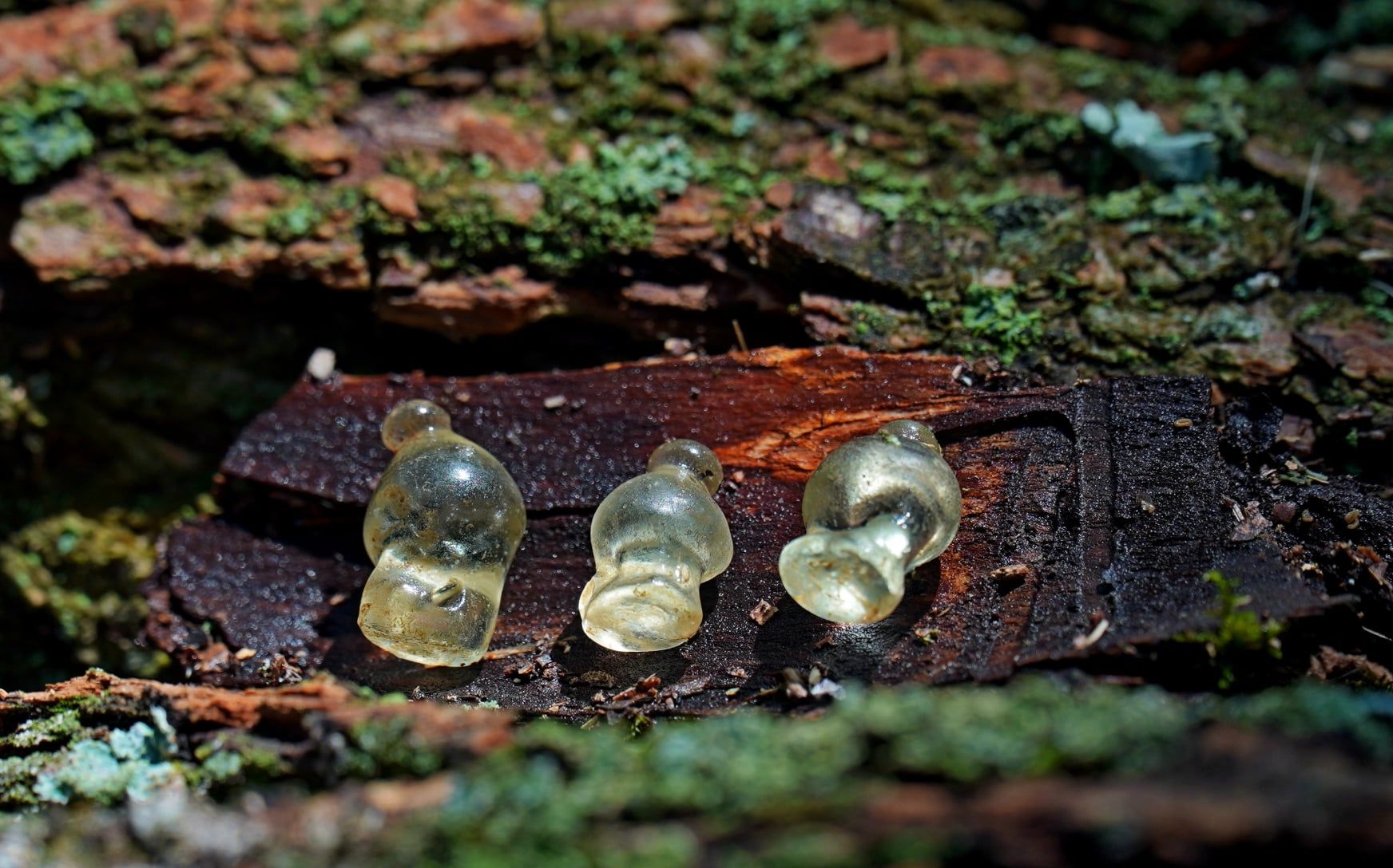 На Барвінковій горі на Полтавщині знайшли унікальні скіфські прикраси, фото