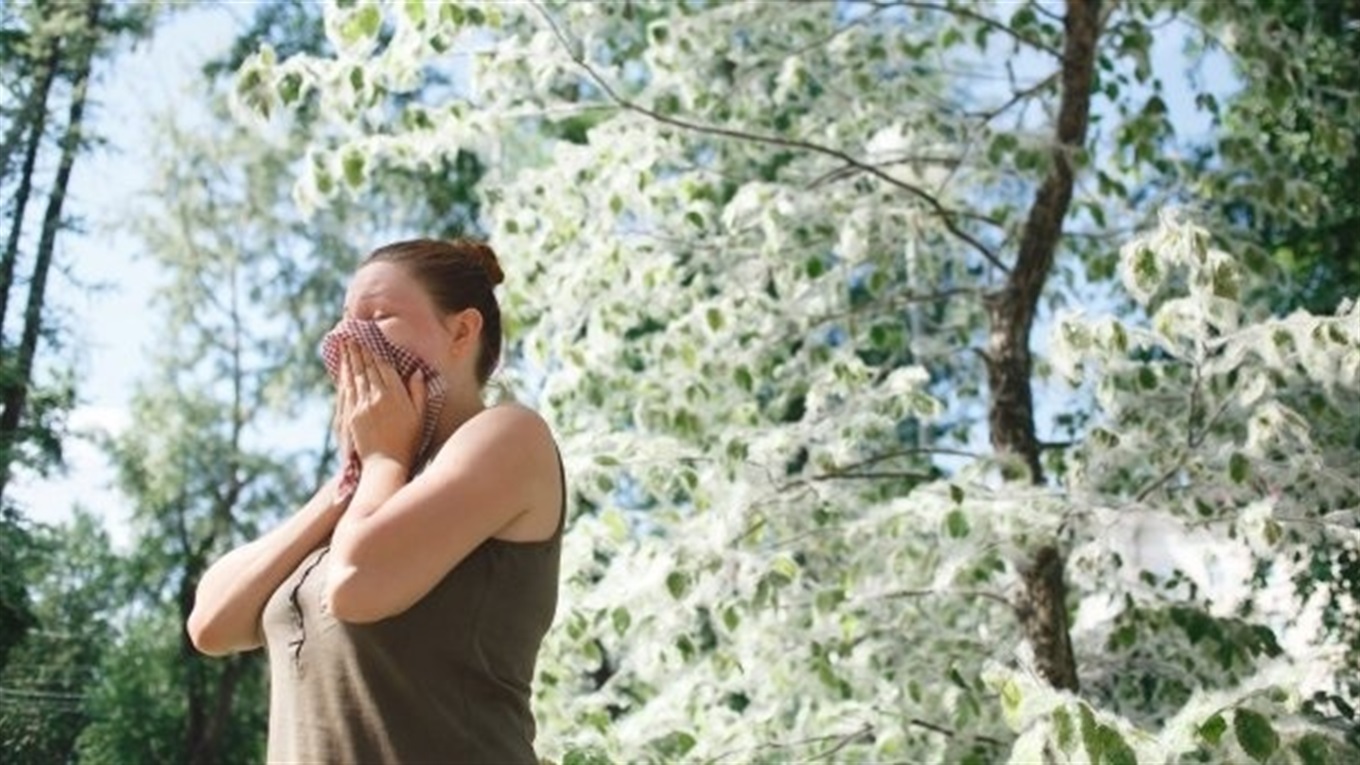 Пух — легкий, ускладнення — важкі: як полегшити свій стан під час сезонної алергії