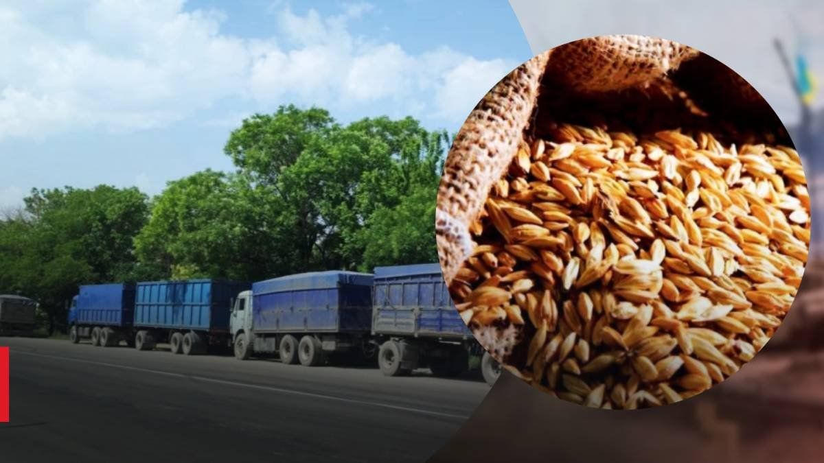 У випадку завезеня краденого росією зерна нібито із Краснодара чи Новоросійська, тоді для турецьких органів порушення немає.