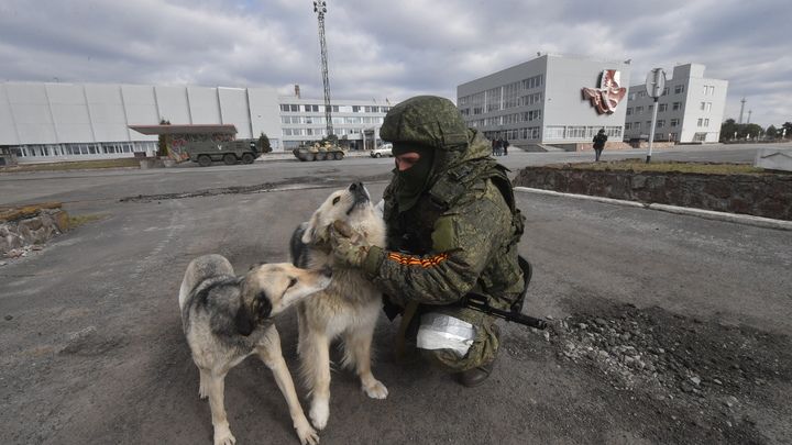 Російські командири продають пайки солдат, тому ті продовжують харчуватися собаками – СБУ