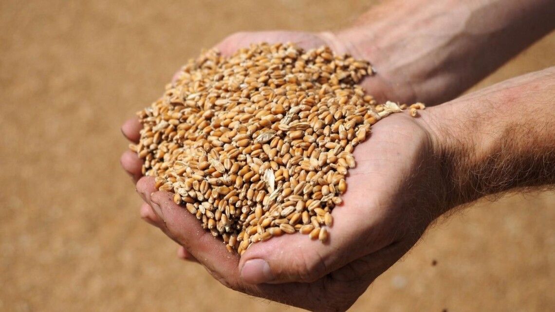 Туреччина анонсує «зернові» перемовини за участі ООН
