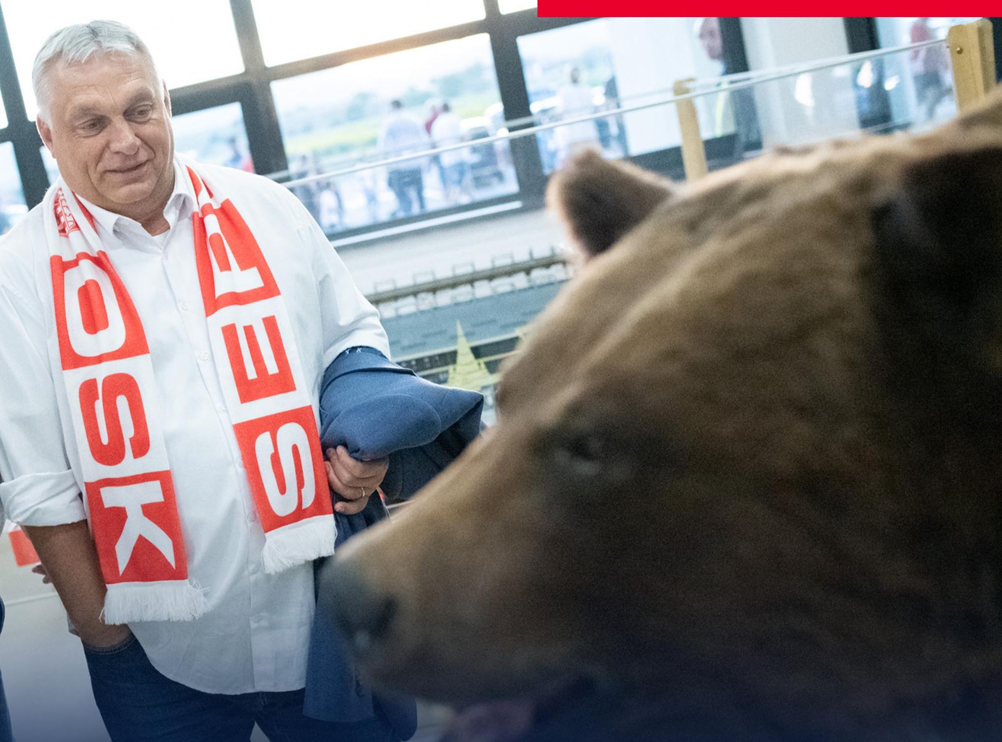 Орбан у Беїле-Тушнаді в Румунії виправдовував агресію російського ведмедя.