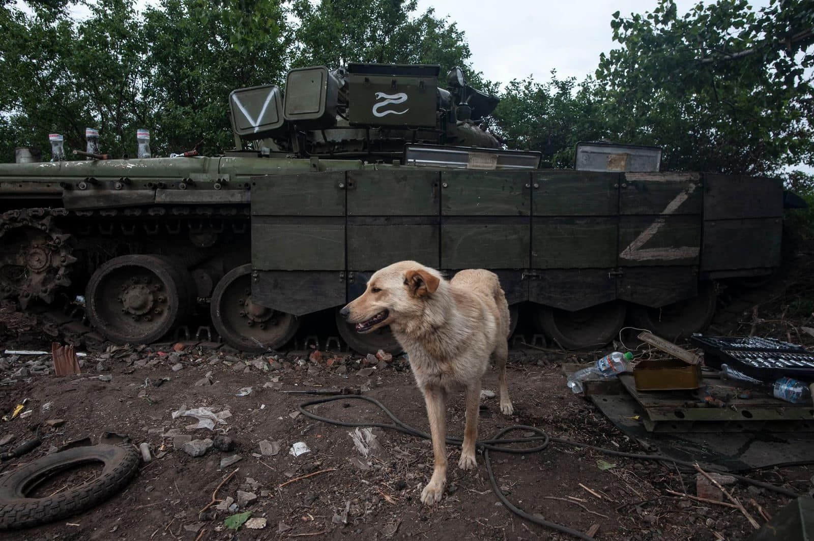 Рятуйся і тікай: Україна пропонує спецпрограму для російських окупантів