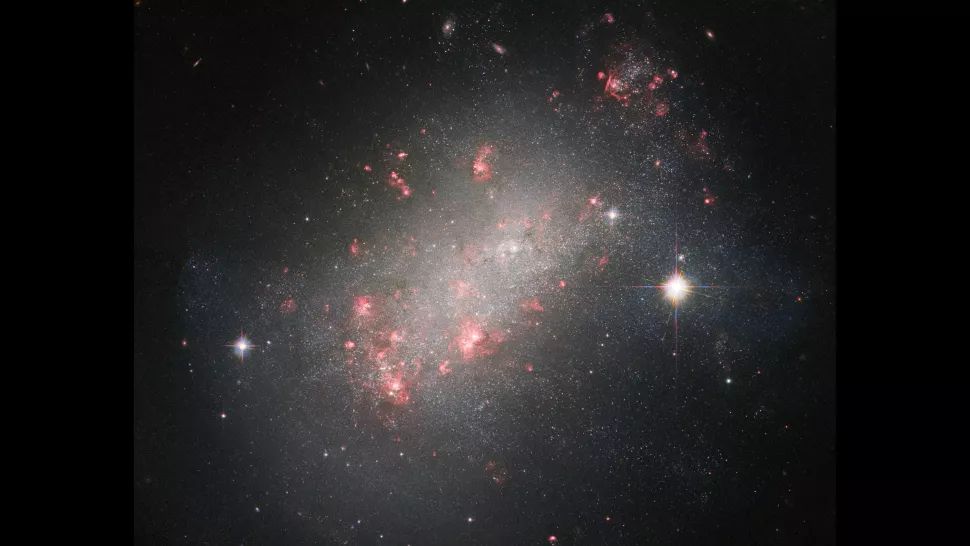 Космічний телескоп Hubble зробив нову фотографію карликової неправильної галактики під назвою NGC 1156, розташованої на відстані 25 мільйонів світлових років від Землі в сузір’ї Овна.