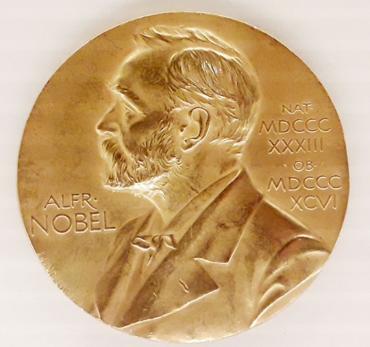 Володимир Зеленський наразі є фаворитами на звання лауреатів Нобелівської премії миру.