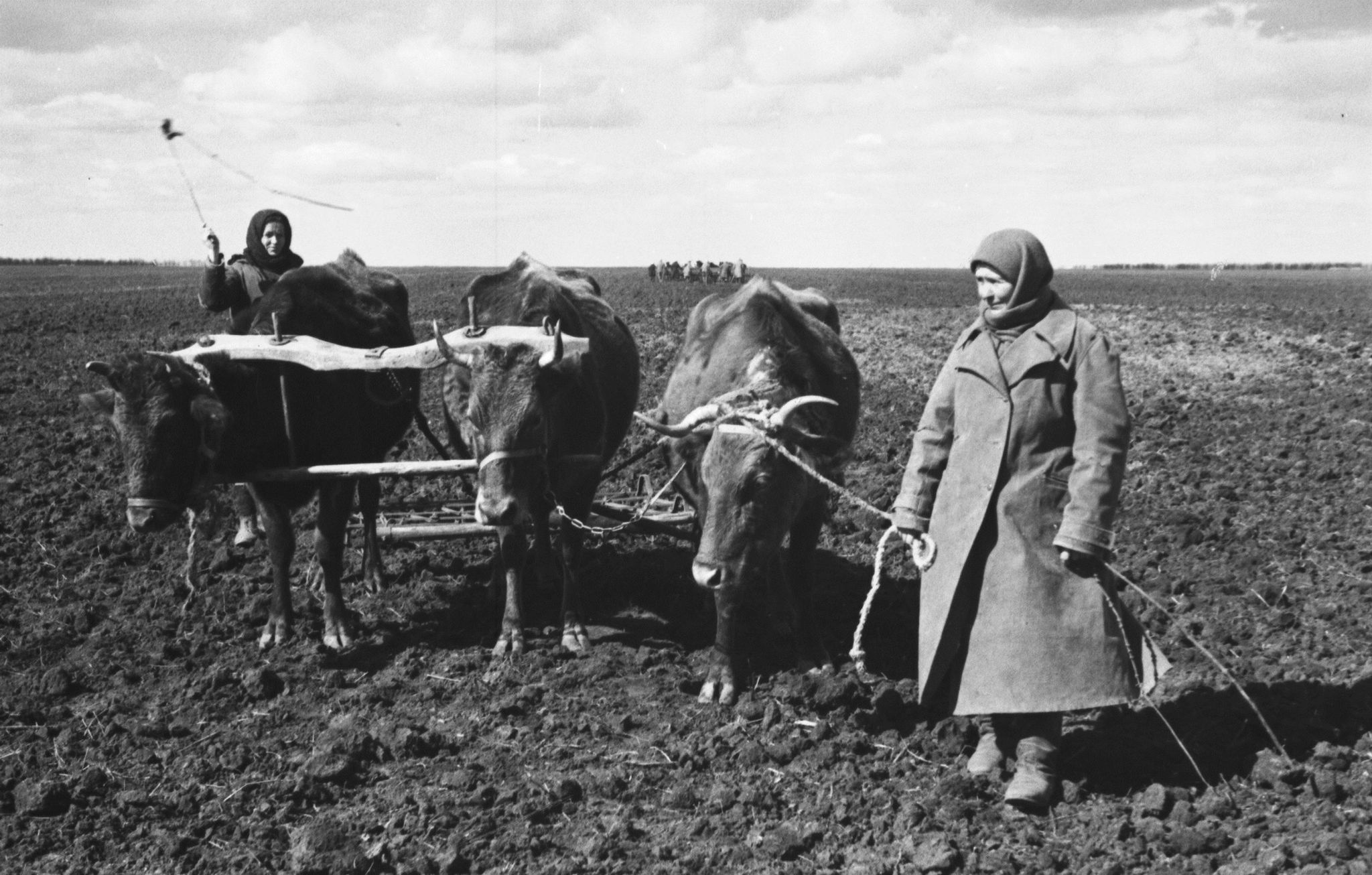 Моє село, рік 1947-й: до річниці Голодомору українців, створеного псами-москалями та колаборантами