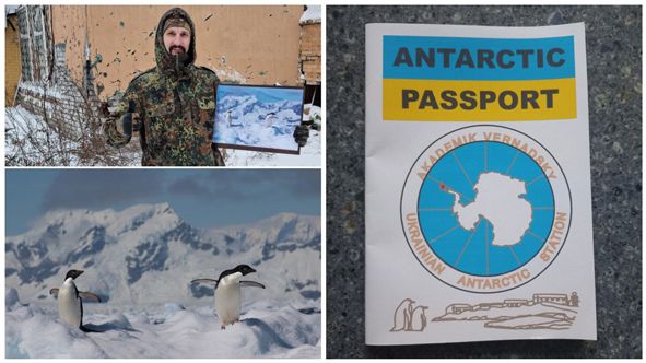 Бойові пінгвіни: полярники зібрали 100 тисяч грн для оборонців Бахмута