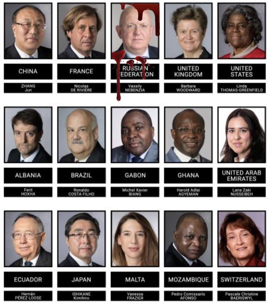 Знімок з портретами 15 членів Радбезу ООН, на яких портрет Небензі наче залитий кров’ю.