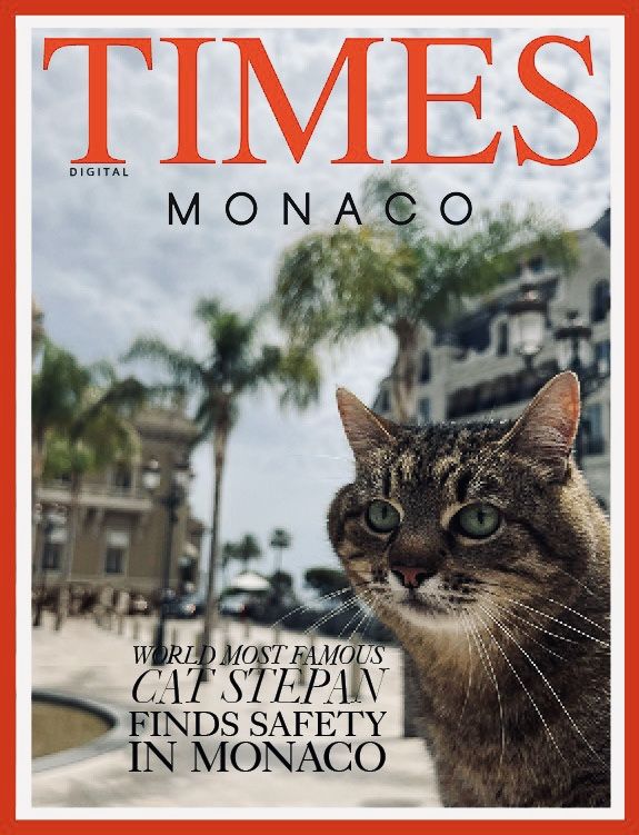 Кіт Степан із Харкова потрапив на обкладинку Times Monaco.