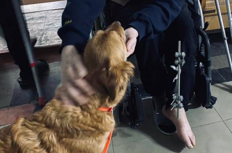 Лікарі залучають до реабілітації бійців кінологів із собаками - Міноборони