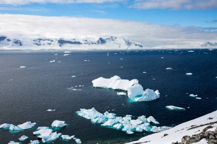 Танення антарктичного льоду спричинить зниження температури у Європі