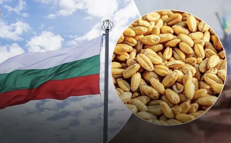 Болгарія заборонила імпорт продуктів харчування з України