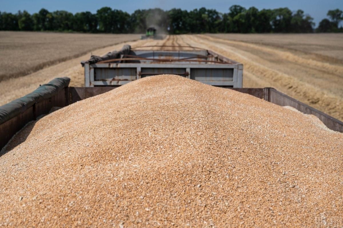 ЄС готує екстрені обмеження на імпорт зерна з України