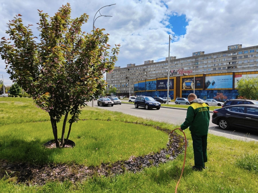 Екоактивіст Максим Парафілов закликав не нищити газони у його рідному Кропивницькому