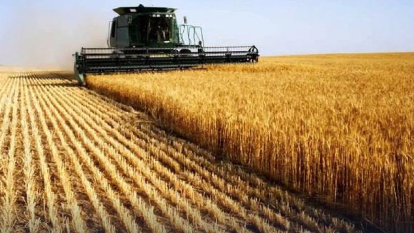 Ой на горі та й женці жнуть: в Україні очікується врожай зернових