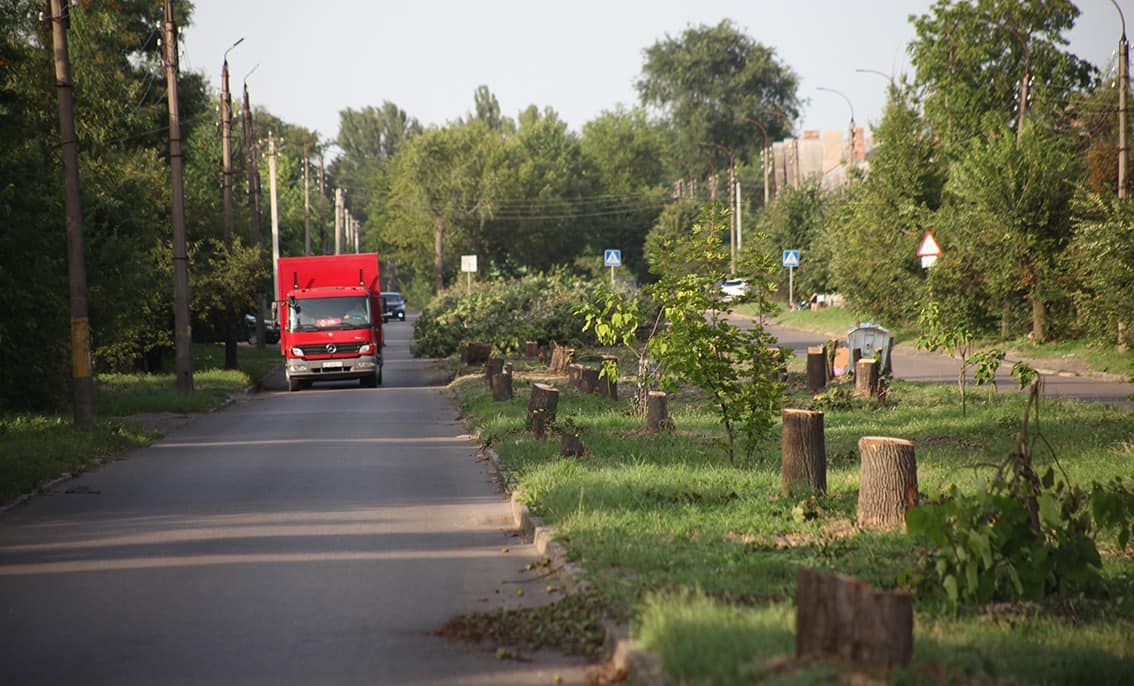 Реконструкція бульвару Богдана Хмельницького у Смілі почалася зі знищення  там багаторічних дерев.