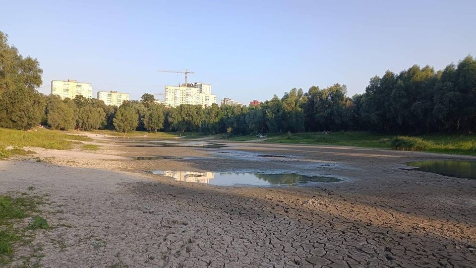 Унікальне Синє озеро у Києві зникає на очах через забудовників