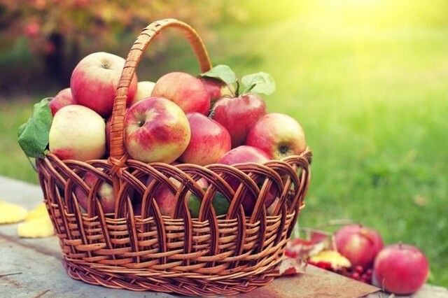 Яблучний Спас: традиції та прикмети