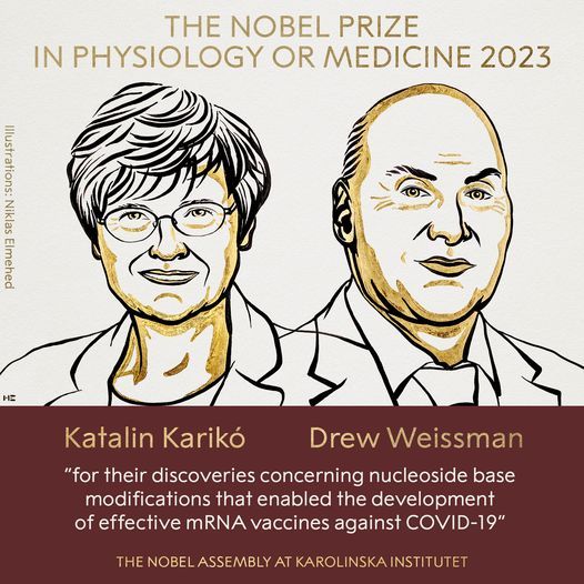 Каталін Каріко та Дрю Вайсман оголошені лауреатами Нобелівської премії з фізіології та медицини