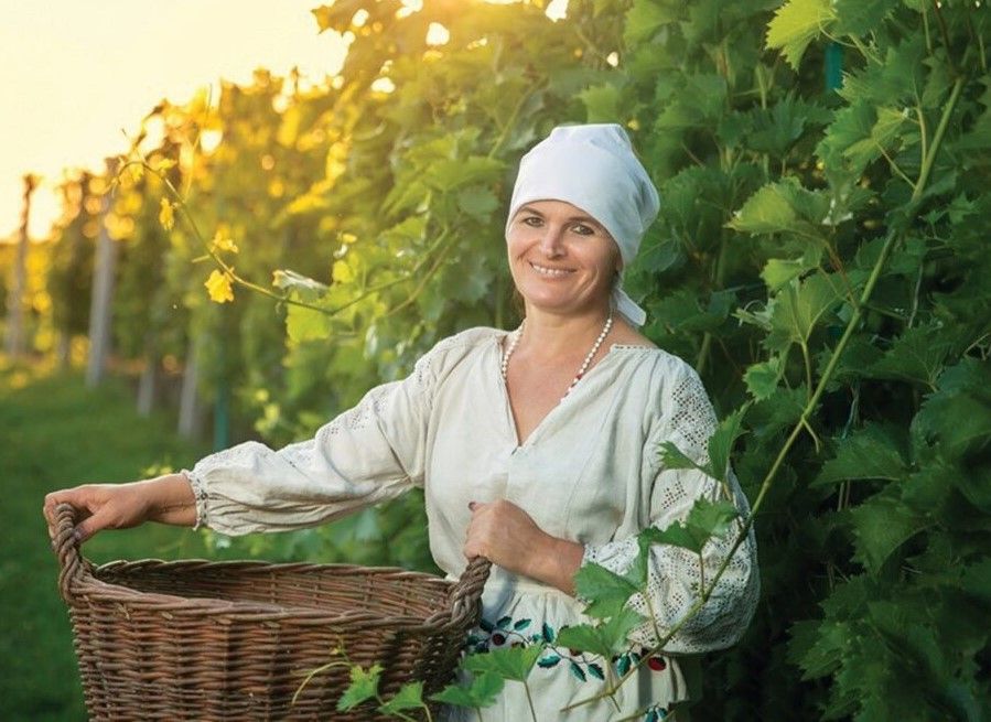Втратила школу, але віднайшла себе у виноградарстві: історія колишньої вчительки Ольги Рясної з Полтавщини
