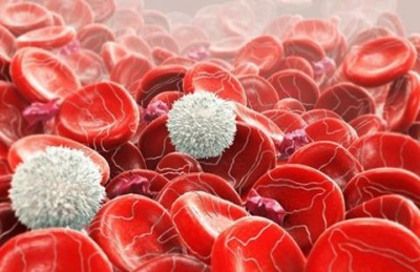 Вчені виявили білки крові, які можуть попереджати про рак за сім років до встановлення діагнозу