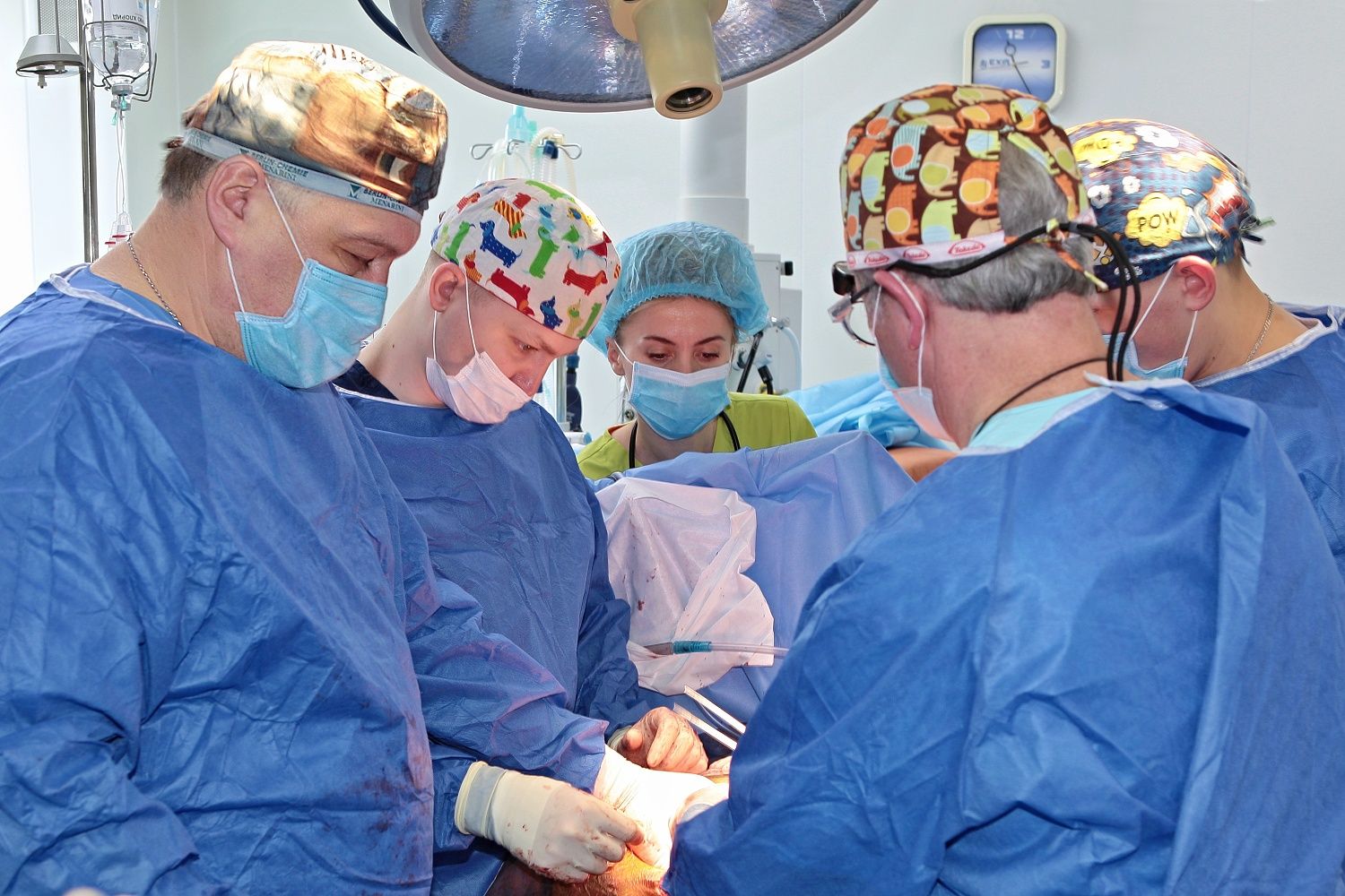Врятовані життя: «шалімовці» провели успішні пересадки нирок, фото