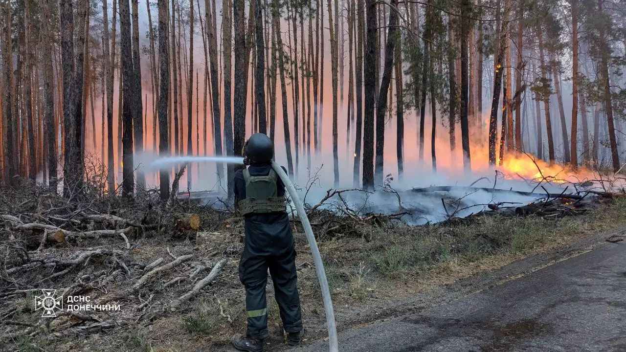 Вдалося запобігти розповсюдженню пожежі на населені пункти, що межують з лісом.