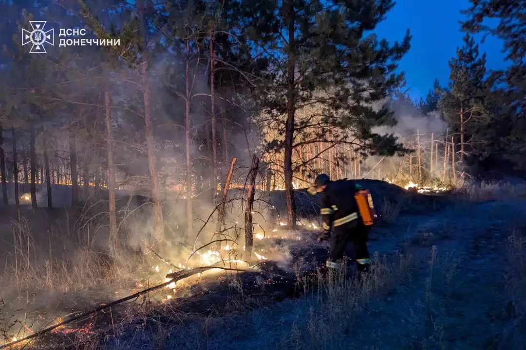 Під Лиманом гасять масштабну пожежу: вогонь пройшов понад 200 гектарів.