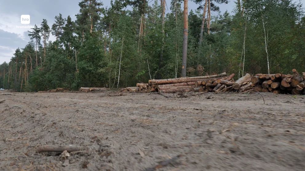 У лісовому масиві між селами Гатне і Мархалівка почали вирубку дерев для подальшого будівництва Національного військового кладовища.