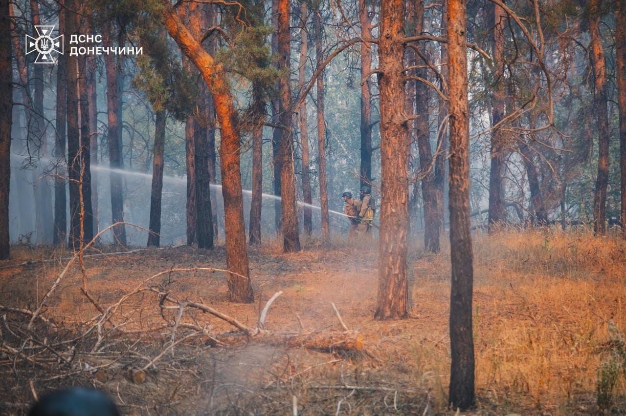 Під Лиманом на Донеччині локалізували масштабну лісову пожежу, фото