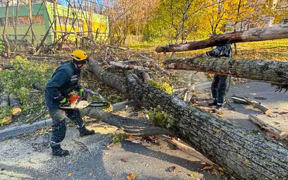 Рятувальники ліквідовують наслідки негоди: прибирають повалені дерева та аварійні конструкції будинків