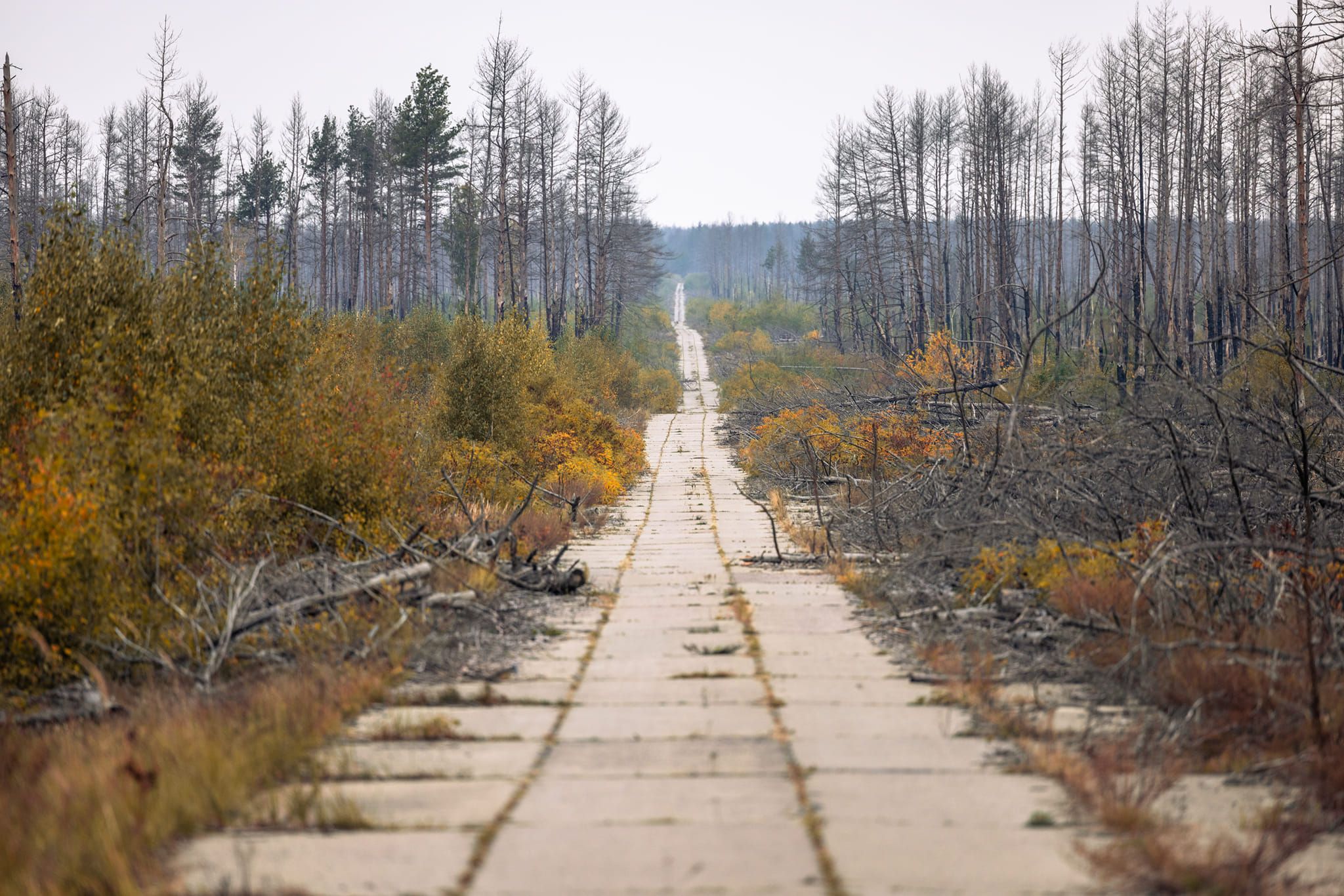 Відбулася  зміна меж території Чорнобильського радіаційно-екологічного біосферного заповідника.