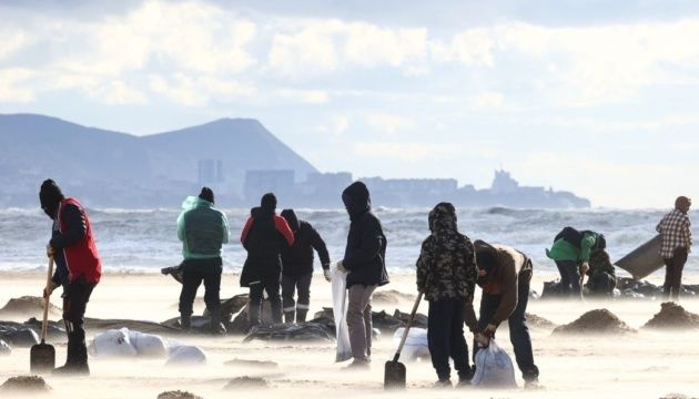 Волонтери на пляжі біля села Витязево у Краснодарському краї, 18 грудня 2024 року.