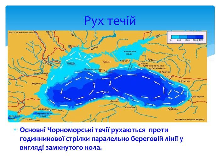 Терміни, коли забруднення може дістатися Одещини, визначаються температурою води та напрямком вітру.