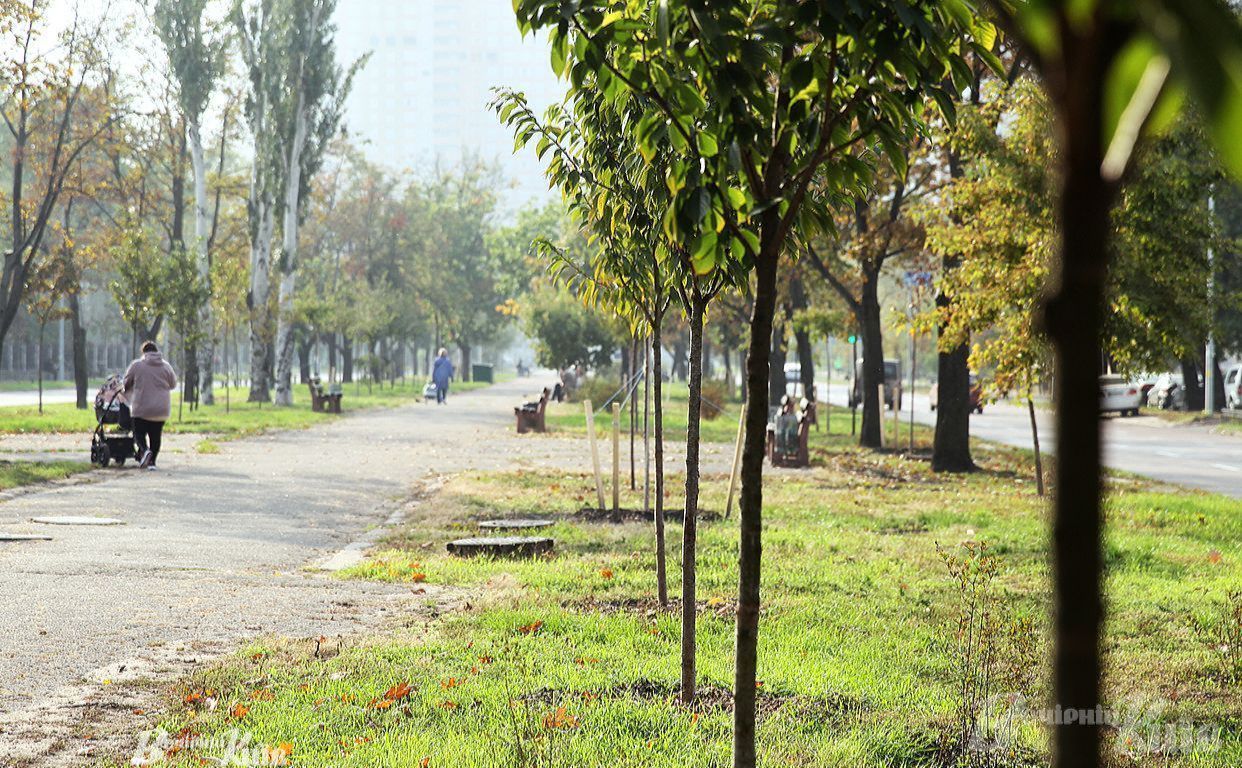 За результатами проведеного КЕКЦ дослідження київські парки зменшилися на 800 гектарів за минулі десять років, а у 2024 році Київська міська рада вперше не створила жодного заповідного об'єкту.