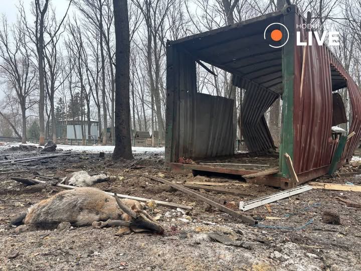 Наслідки удару російськими ординцями по екопарку під Харковом.