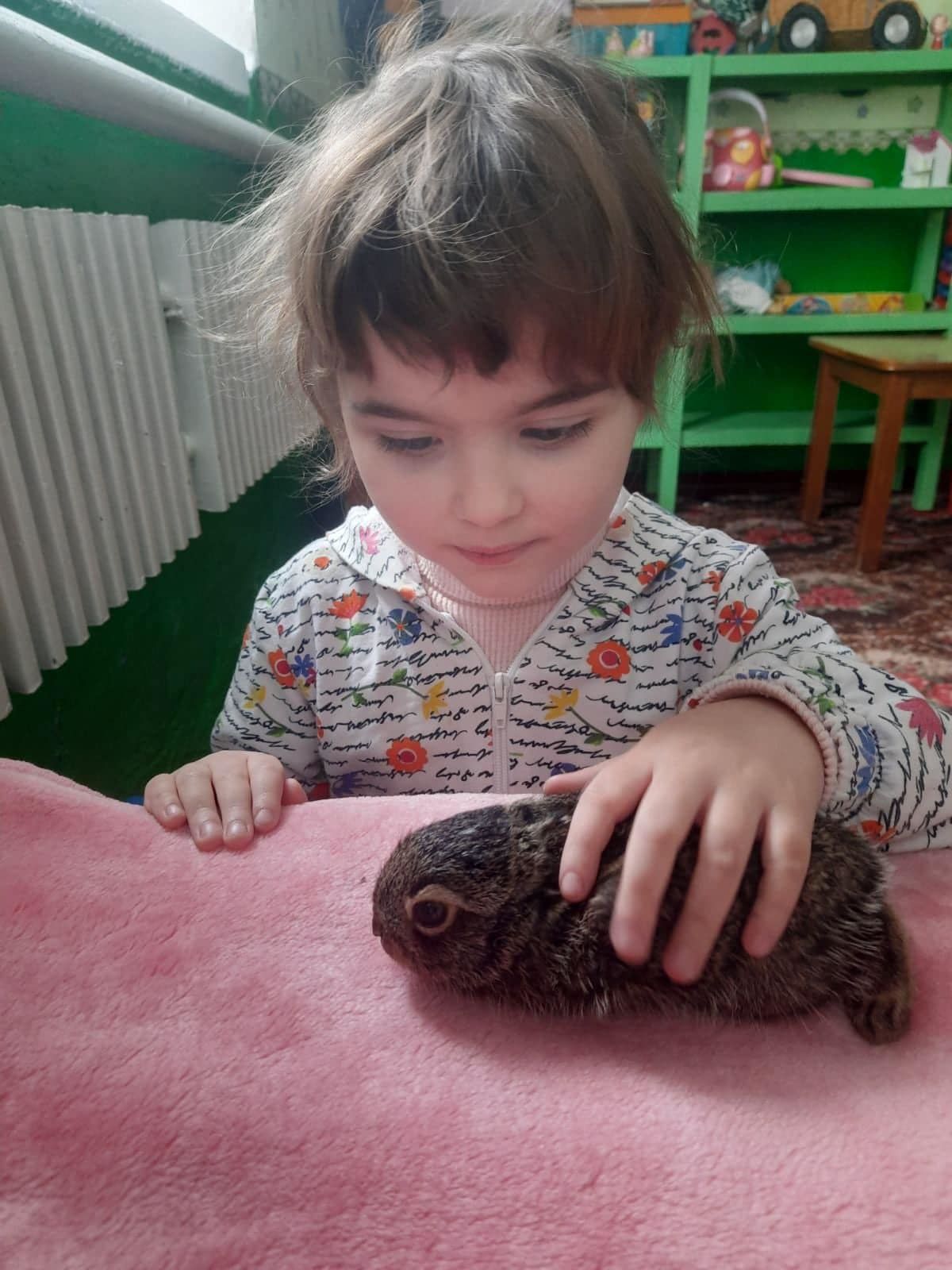Тепер зайченятко полюбляє їсти сіно, пшеничну та кукурудзяну крупу.