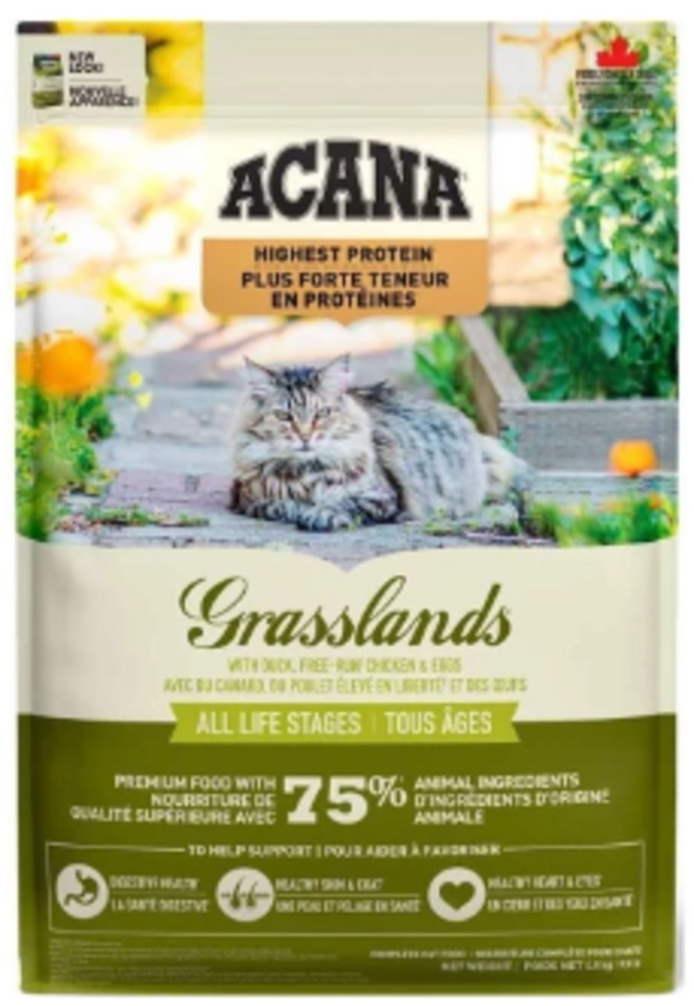 Чи можна годувати кота тільки сухим кормом?