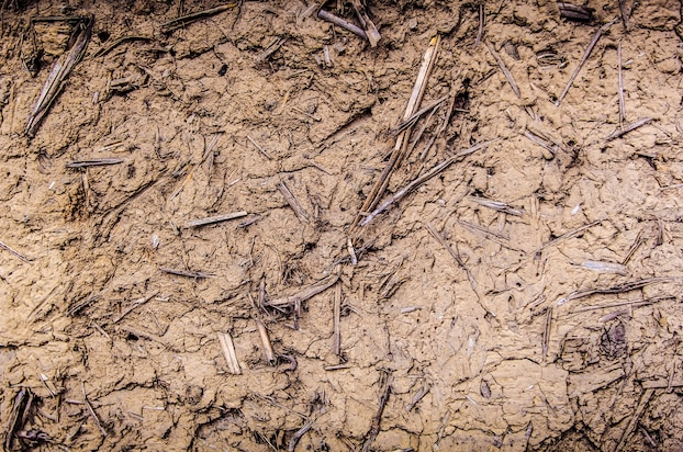 Земля відчуває спрагу. Пів України може потрапити до посушливої зони  же до 2050 року