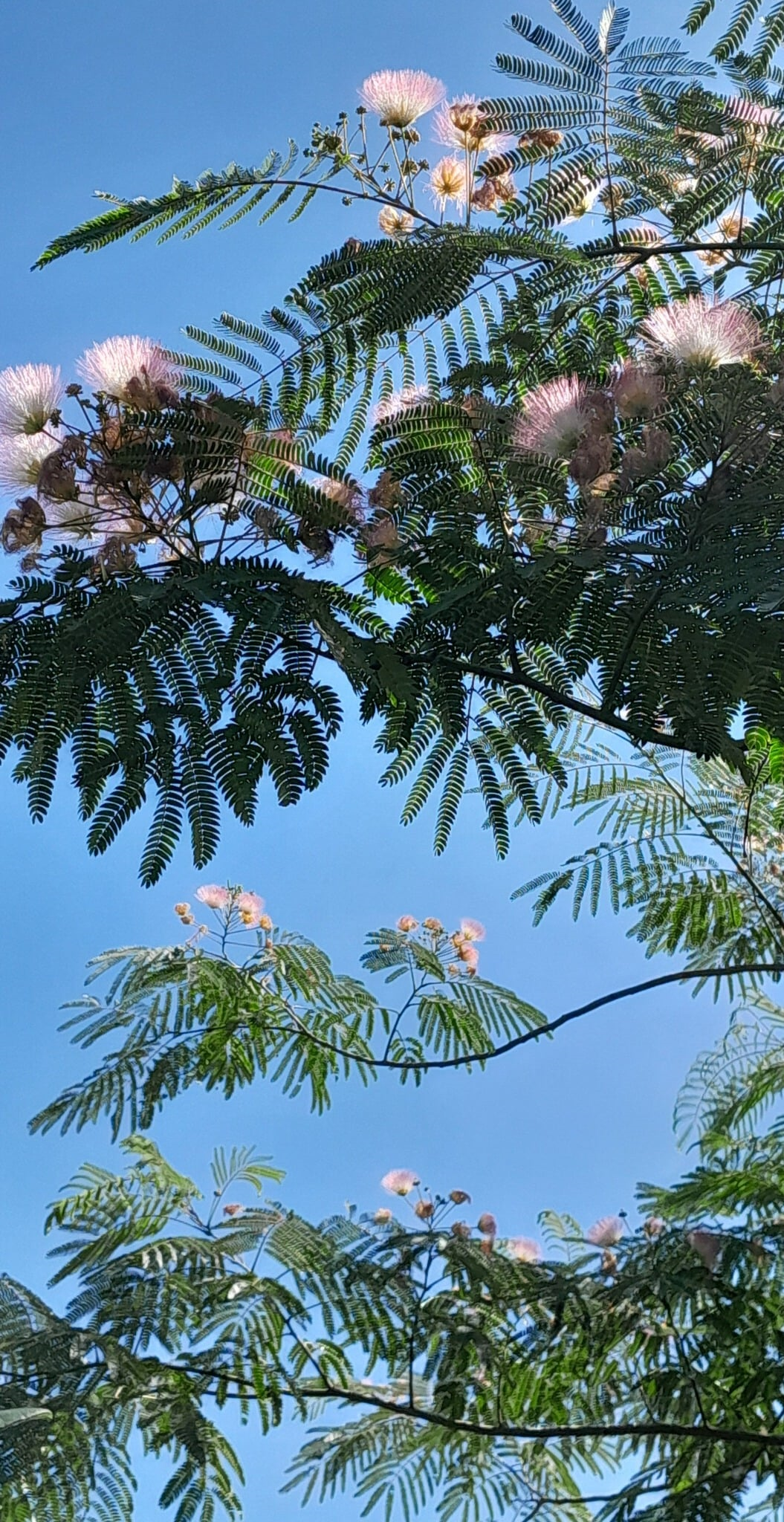 Херсон здригається від бомб. Східні мотиви гарматних та мінних вибухів