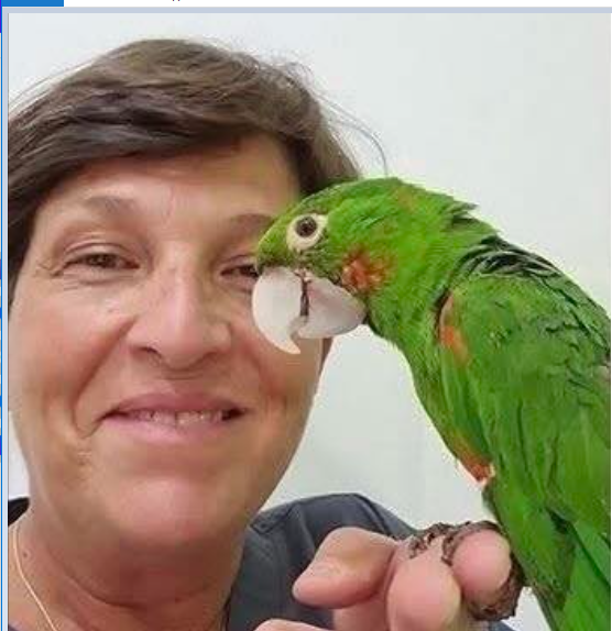 Протези для пташок. У Бразилії за допомогою 3D-друку рятують амазонських папуг і туканів