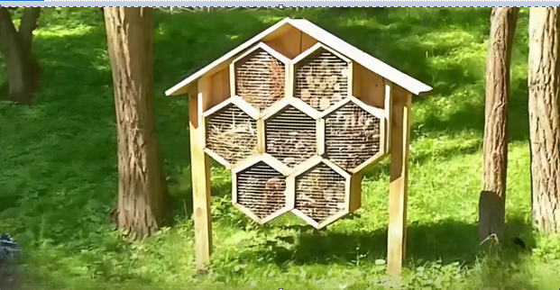 На Троєщині відкрився готель із шишок та бамбука — гості у захваті