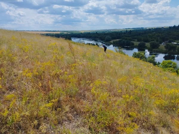 Сім соток надії. Поблизу Шаргорода створять ботанічну пам’ятку природи