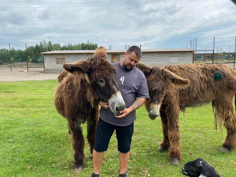 І повітря аж кипить. Під Полтавою тигри охолоджуються під «душем Шарко», а лемури ласують фруктовим льодом