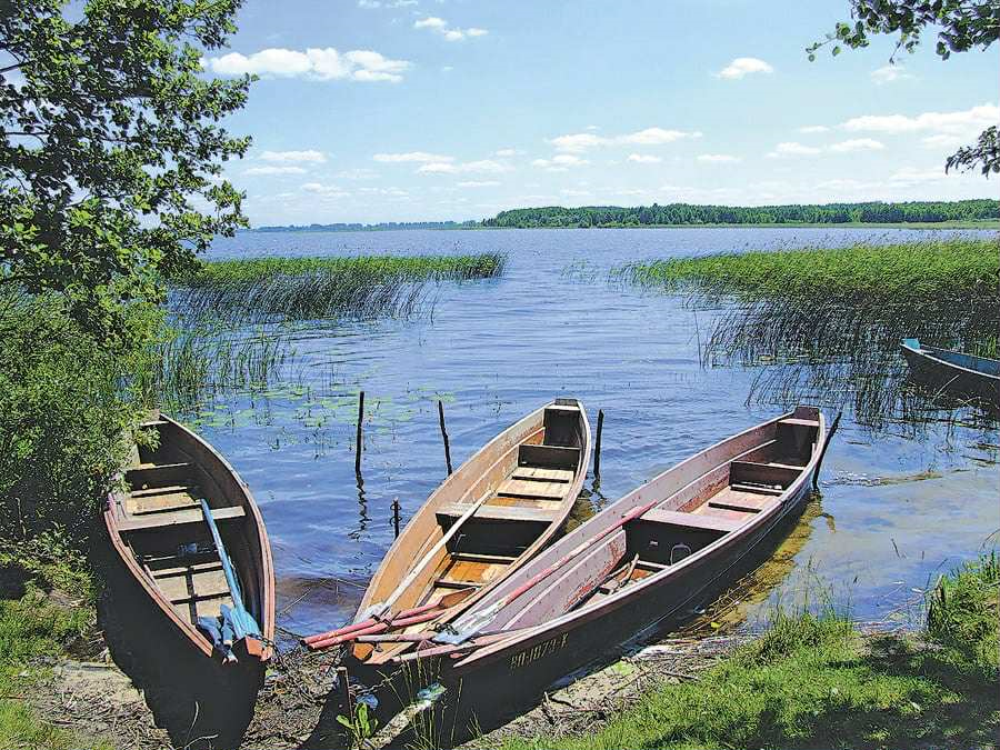 Безрозмірний ліміт на рибу і деревину. Багато національних природних парків в Україні перетворюються на промзони