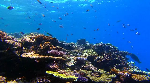 Напередодні COP30 вчені попереджають, що кліматичні переломні точки перетинаються - rjhfkjds hbab yf uhfys dbvbhfyyz/