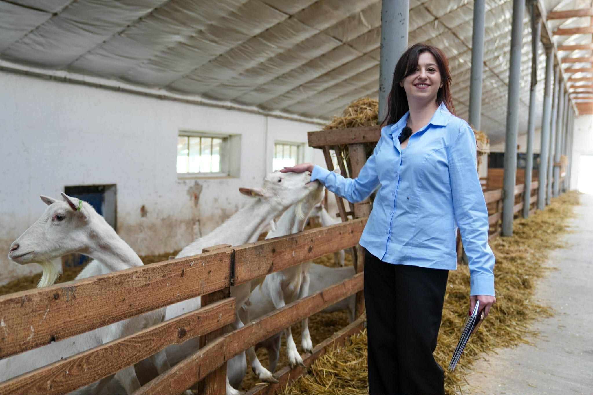 Лілія Прокіпчук зі своїми кізочками.