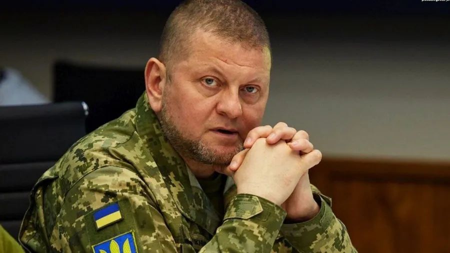 Валерій Залужний дав розлогий аналіз поточної ситуації в інтерв"ю на прохання Інституту Східного Флангу (Польща).